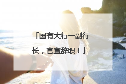 国有大行一副行长，官宣辞职！