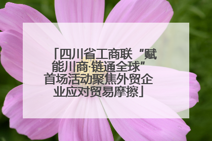 四川省工商联“赋能川商·链通全球”首场活动聚焦外贸企业应对贸易摩擦