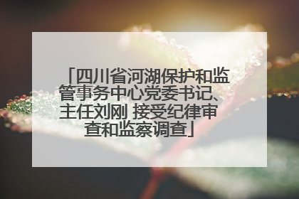 四川省河湖保护和监管事务中心党委书记、主任刘刚 接受纪律审查和监察调查