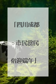 四川成都：市民赏民俗迎端午