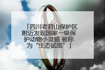 四川老君山保护区附近发现国家一级保护动物小灵猫 被称为“生态试纸”