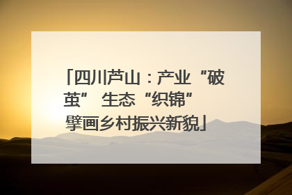 四川芦山：产业“破茧” 生态“织锦” 擘画乡村振兴新貌