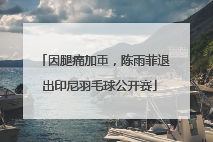 因腿痛加重，陈雨菲退出印尼羽毛球公开赛