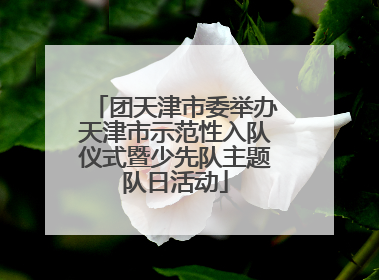 团天津市委举办天津市示范性入队仪式暨少先队主题队日活动
