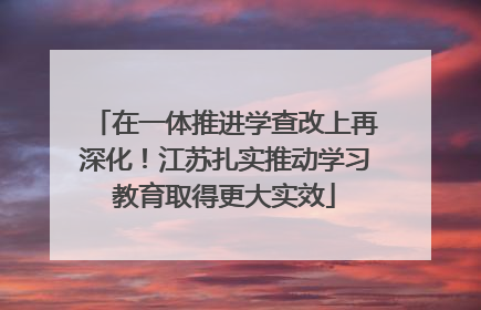 在一体推进学查改上再深化！江苏扎实推动学习教育取得更大实效