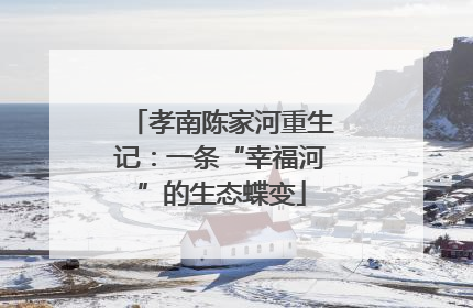 孝南陈家河重生记：一条“幸福河”的生态蝶变