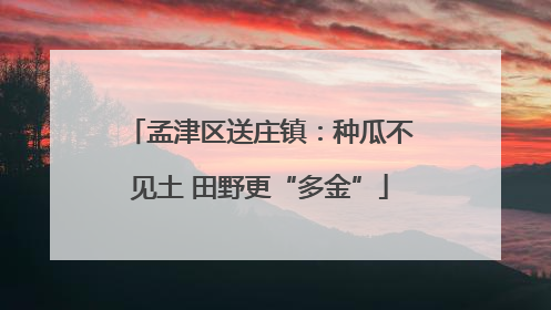 孟津区送庄镇：种瓜不见土 田野更“多金”