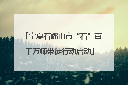 宁夏石嘴山市“石”百千万师带徒行动启动