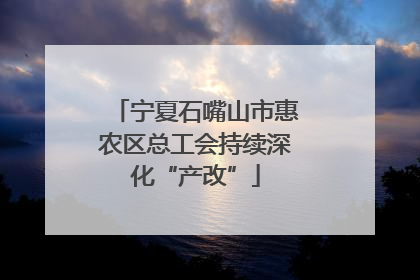 宁夏石嘴山市惠农区总工会持续深化“产改”