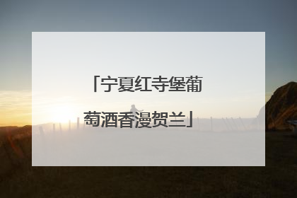 宁夏红寺堡葡萄酒香漫贺兰