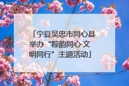 宁夏吴忠市同心县举办“粽韵同心·文明同行”主题活动