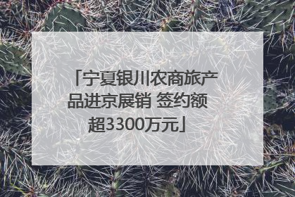 宁夏银川农商旅产品进京展销 签约额超3300万元