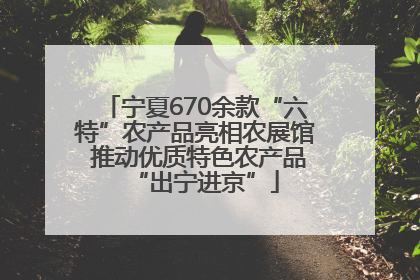 宁夏670余款“六特”农产品亮相农展馆 推动优质特色农产品“出宁进京”