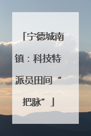 宁德城南镇：科技特派员田间“把脉”