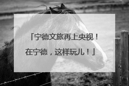 宁德文旅再上央视！在宁德，这样玩儿！