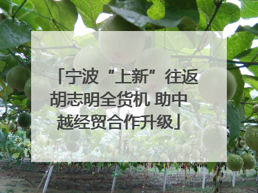 宁波“上新”往返胡志明全货机 助中越经贸合作升级