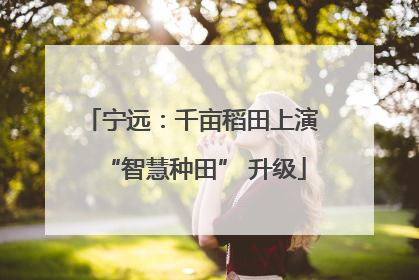 宁远：千亩稻田上演 “智慧种田” 升级