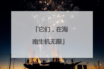 它们，在海南生机无限
