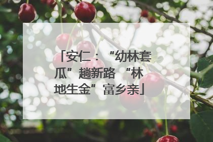 安仁：“幼林套瓜”趟新路 “林地生金”富乡亲