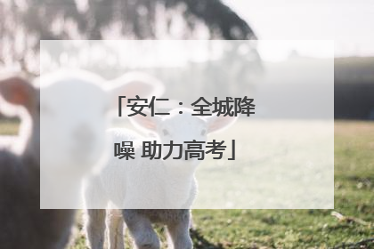 安仁：全城降噪 助力高考