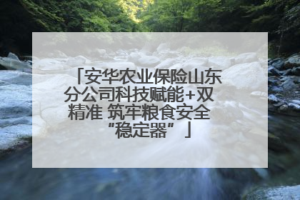 安华农业保险山东分公司科技赋能+双精准 筑牢粮食安全“稳定器”