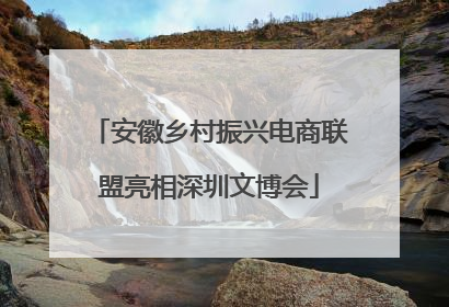 安徽乡村振兴电商联盟亮相深圳文博会