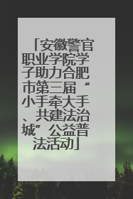 安徽警官职业学院学子助力合肥市第三届“小手牵大手、共建法治城”公益普法活动