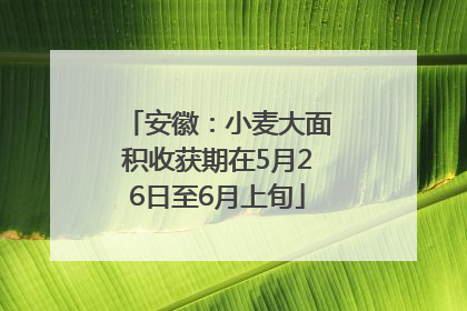 安徽：小麦大面积收获期在5月26日至6月上旬