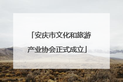 安庆市文化和旅游产业协会正式成立