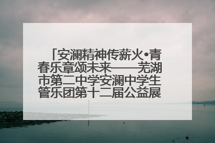 安澜精神传薪火•青春乐章颂未来——芜湖市第二中学安澜中学生管乐团第十二届公益展演圆满举行