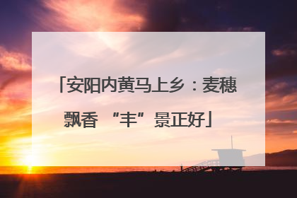 安阳内黄马上乡：麦穗飘香 “丰”景正好