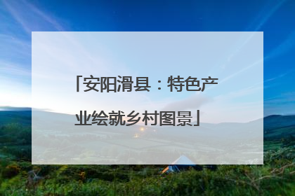 安阳滑县：特色产业绘就乡村图景