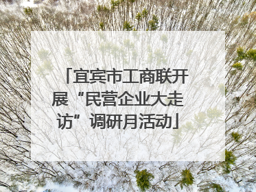 宜宾市工商联开展“民营企业大走访”调研月活动