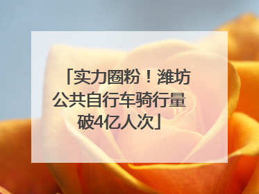 实力圈粉！潍坊公共自行车骑行量破4亿人次