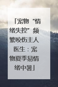 宠物“情绪失控”频繁咬伤主人 医生：宠物夏季易情绪中暑
