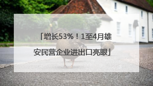 增长53%！1至4月雄安民营企业进出口亮眼