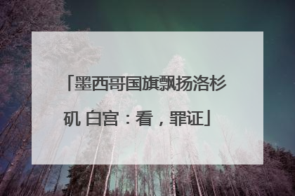 墨西哥国旗飘扬洛杉矶 白宫：看，罪证