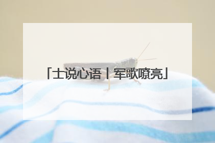 士说心语丨军歌嘹亮