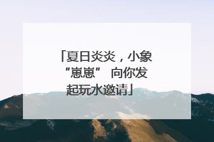 夏日炎炎，小象“崽崽” 向你发起玩水邀请