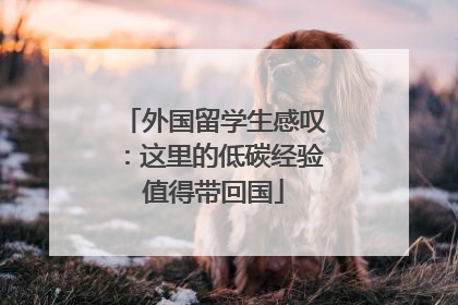 外国留学生感叹：这里的低碳经验值得带回国