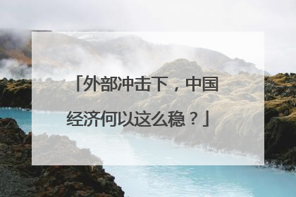 外部冲击下，中国经济何以这么稳？