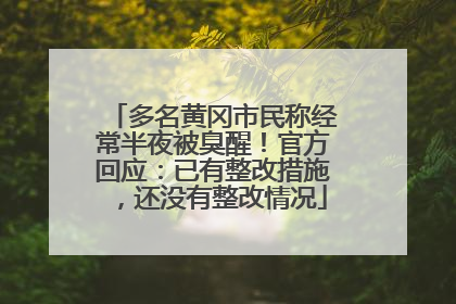 多名黄冈市民称经常半夜被臭醒！官方回应：已有整改措施，还没有整改情况