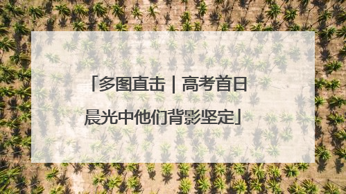 多图直击｜高考首日 晨光中他们背影坚定