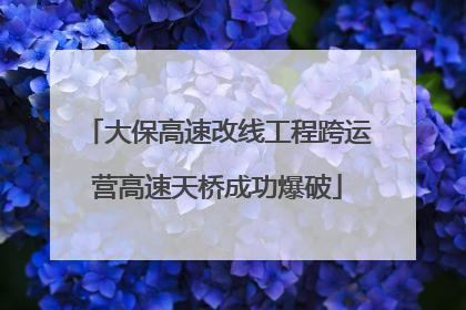 大保高速改线工程跨运营高速天桥成功爆破
