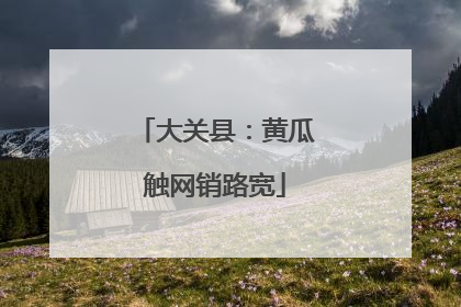 大关县：黄瓜触网销路宽