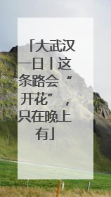 大武汉一日丨这条路会“开花”，只在晚上有