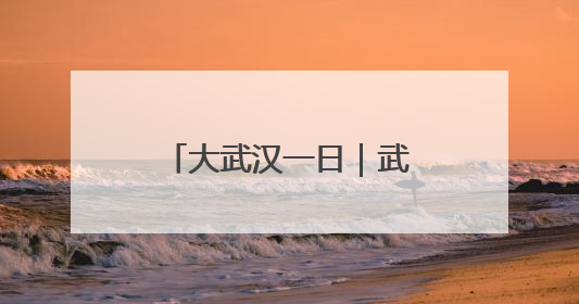 大武汉一日｜武汉地铁上，满满一车全是“宝贝”