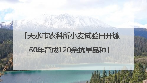 天水市农科所小麦试验田开镰 60年育成120余抗旱品种