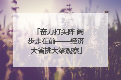 奋力打头阵 阔步走在前——经济大省挑大梁观察