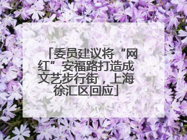 委员建议将“网红”安福路打造成文艺步行街，上海徐汇区回应